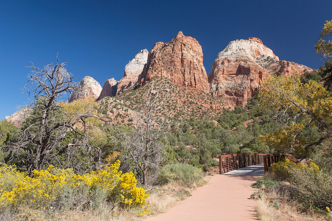 View along the Pa'rus Trail to Mount Spry and the East Temple, autumn, Zion National Park, Utah, United States of America, North America