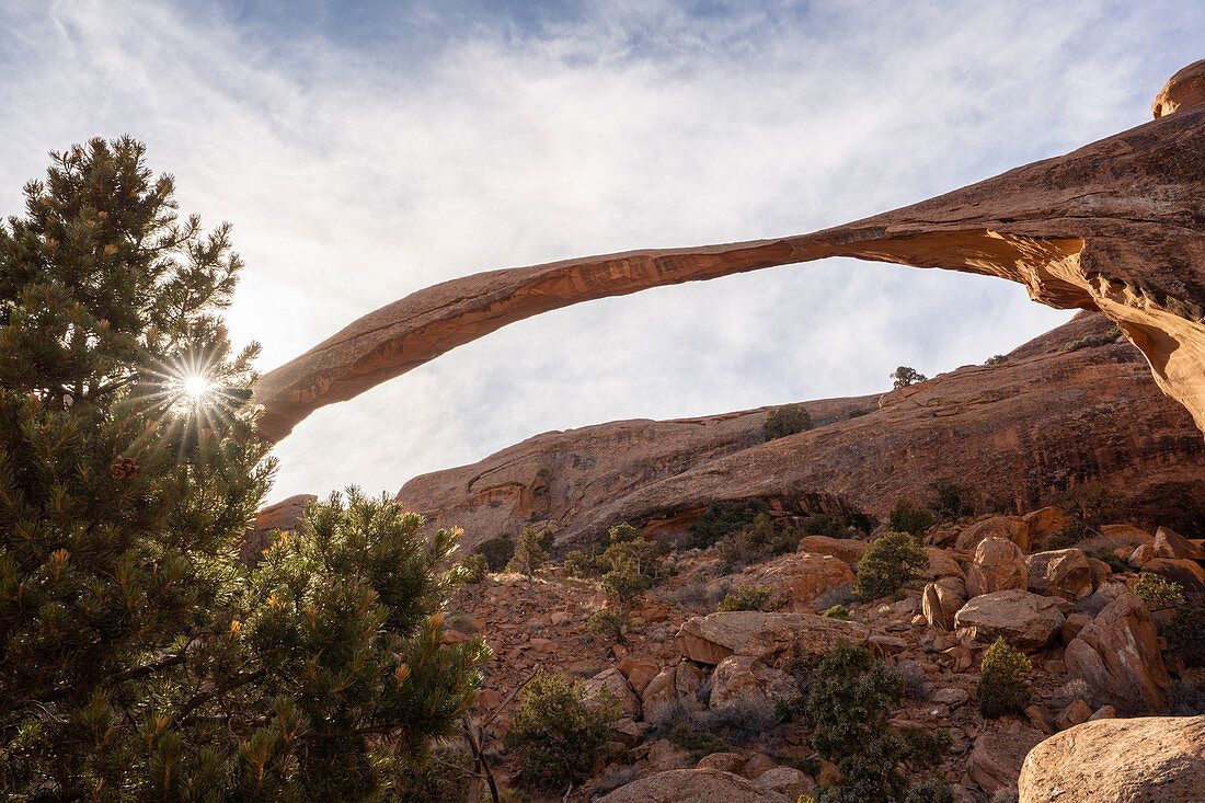 Landschaftsbogen mit Sunburst durch Baum, Arches National Park, Utah, Vereinigte Staaten von Amerika, Nordamerika