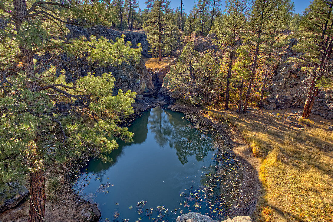 Einer von mehreren natürlichen Teichen in der Nähe von Sycamore Falls, bekannt als Pomeroy Tanks, Kaibab National Forest in der Nähe von Williams, Arizona, Vereinigte Staaten von Amerika, Nordamerika