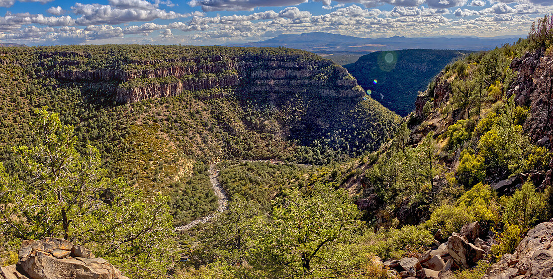 Oberer Abschnitt des Bear Canyon nach Süden ausgerichtet, im nordöstlichen Abschnitt des Prescott National Forest in der Nähe von Drake, Arizona, Vereinigte Staaten von Amerika, Nordamerika