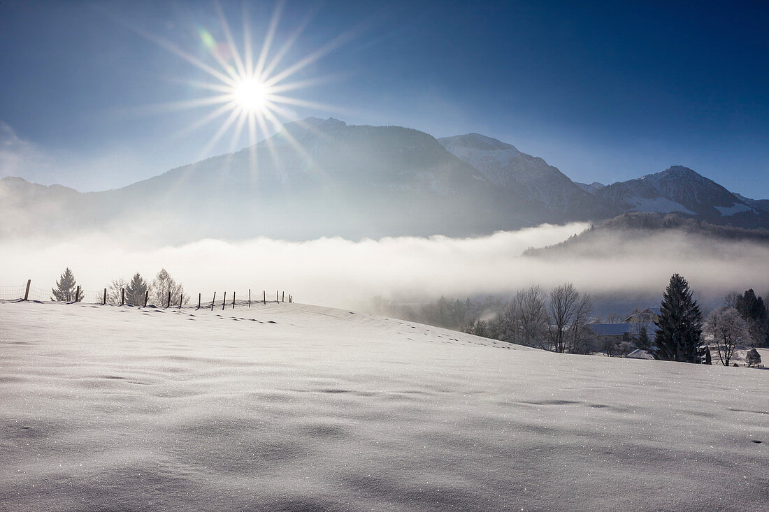 Winter morning mist near Berchtesgaden, Upper Bavaria, Bavaria, Germany