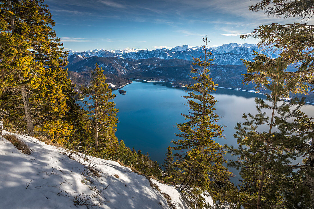 Blick vom Herzogstand auf den Walchensee, Kochel am See, Oberbayern, Bayern, Deutschland
