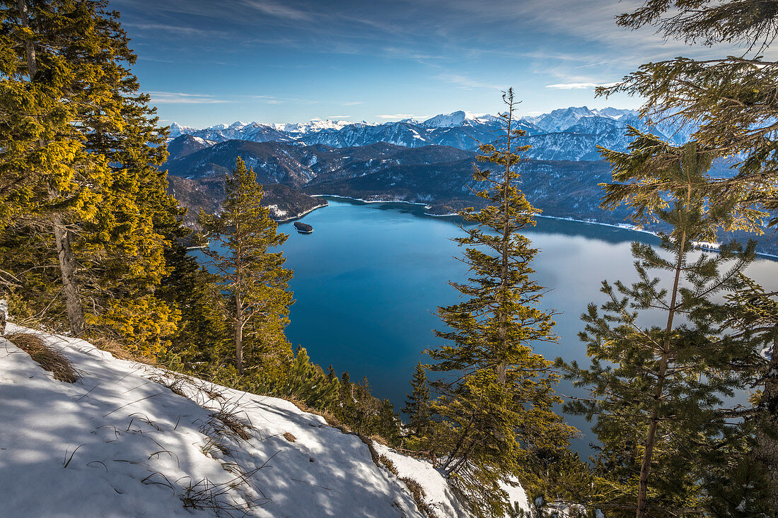 View from Herzogstand to Walchensee, Kochel am See, Upper Bavaria, Bavaria, Germany