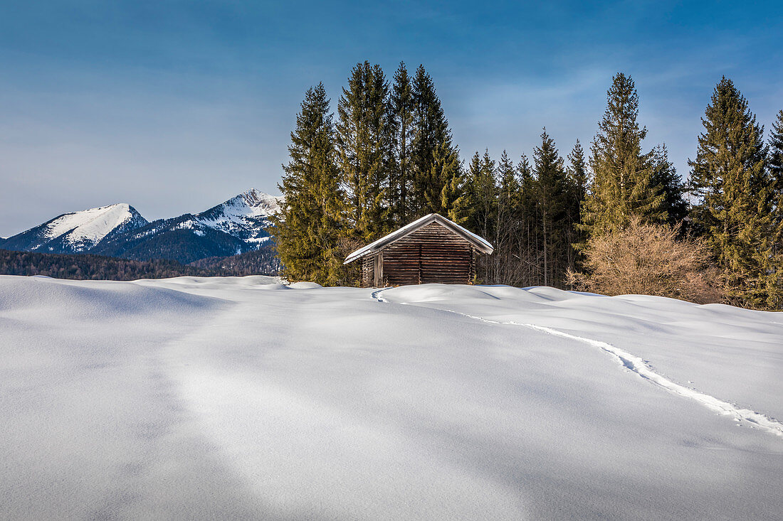 Winter landscape near Krün, Bavarian Prealps, Upper Bavaria, Bavaria, Germany