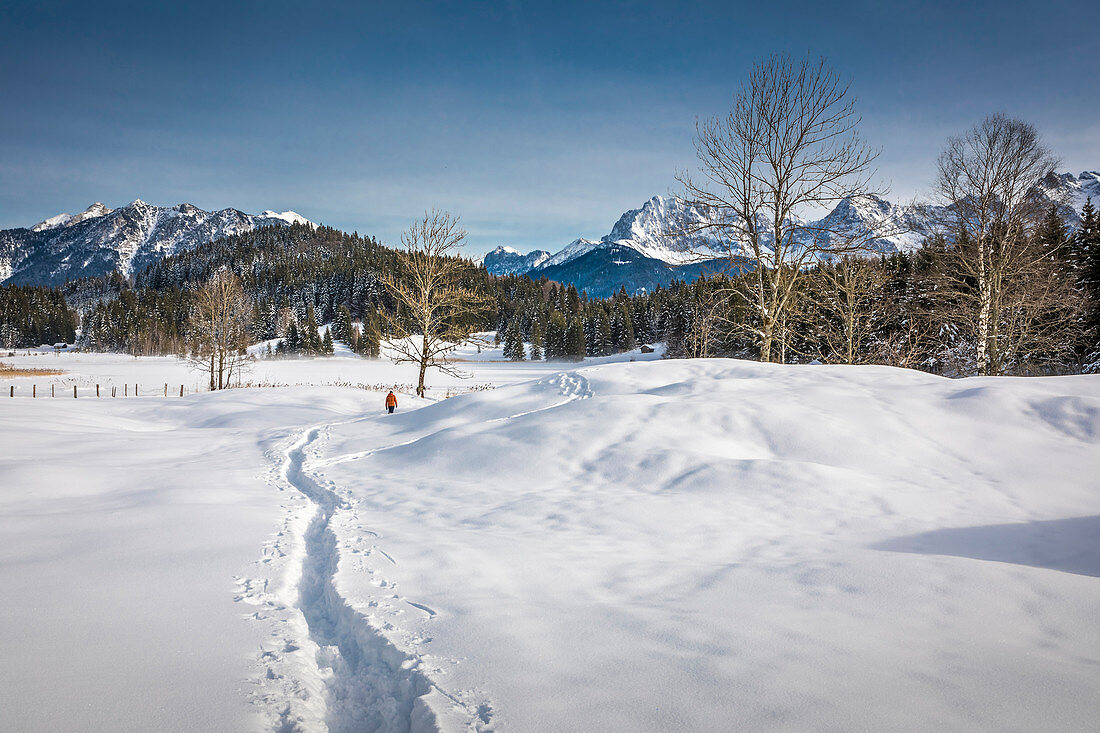Winter landscape near the Geroldsee, Krün, Upper Bavaria, Bavaria, Germany