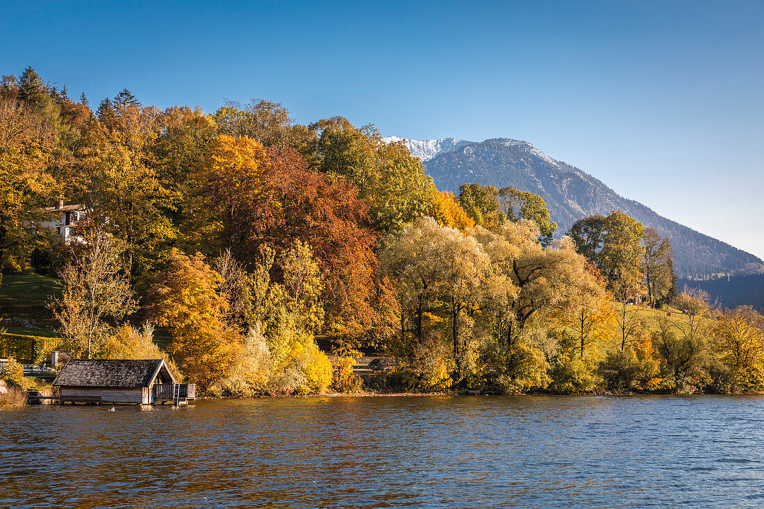 Schliersee am Südufer bei Fischhausen, Schliersee, Oberbayern, Bayern, Deutschland