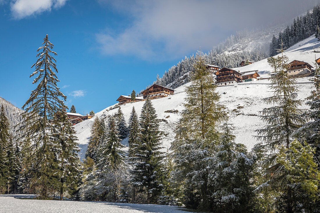 Old mountain farms in the rear Villgratental, East Tyrol, Tyrol, Austria