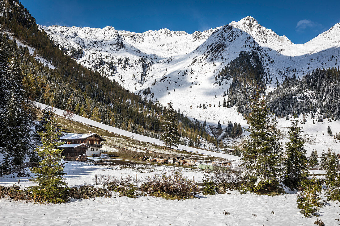 Peintnerhof in the Arntal, Innervillgraten, Villgratental, East Tyrol, Tyrol, Austria