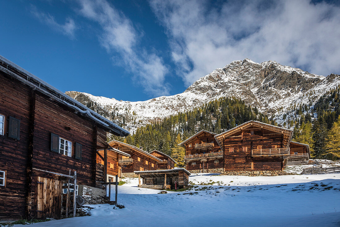 Oberstalleralm im Arntal, Innervillgraten, Villgratental, Osttirol, Tirol, Österreich