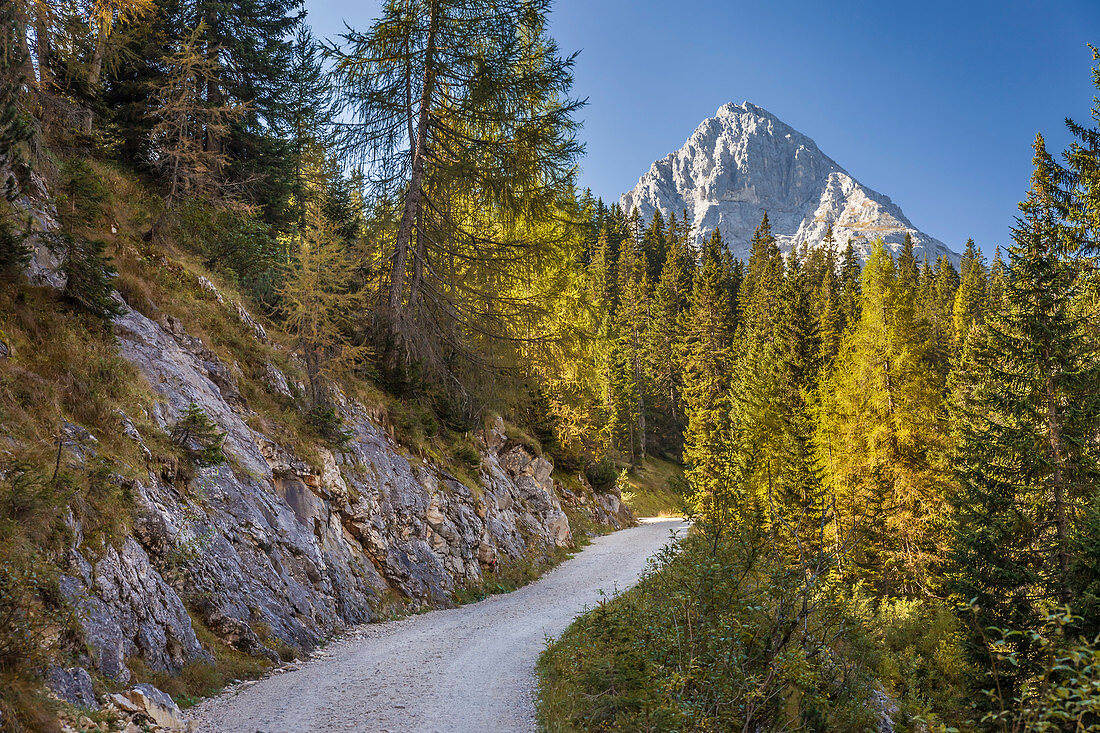 Path to Seebensee in the Gaistal above Ehrwald in Tirol, Tyrol, Austria