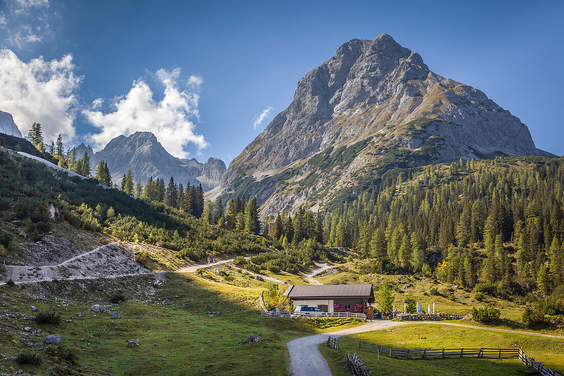 Seebenalm mit Rauher Kopf, Ehrwald in Tirol, Tirol, Österreich