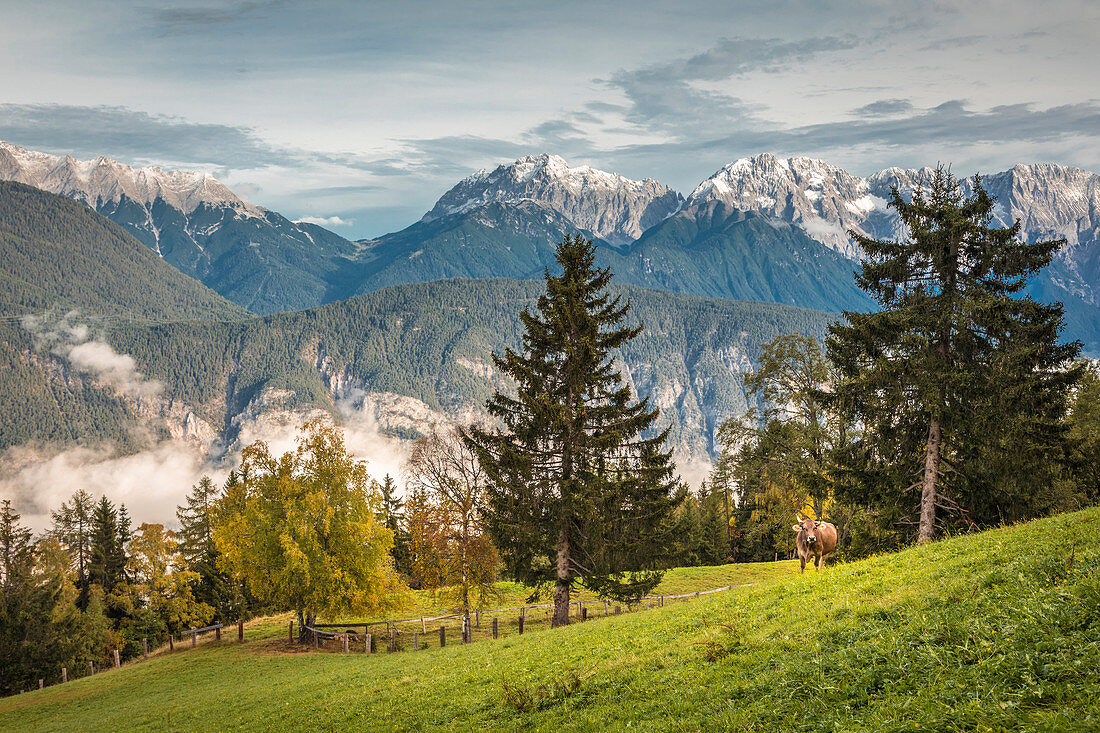 Blick  von Haimingerberg ins Inntal, Tirol, Österreich