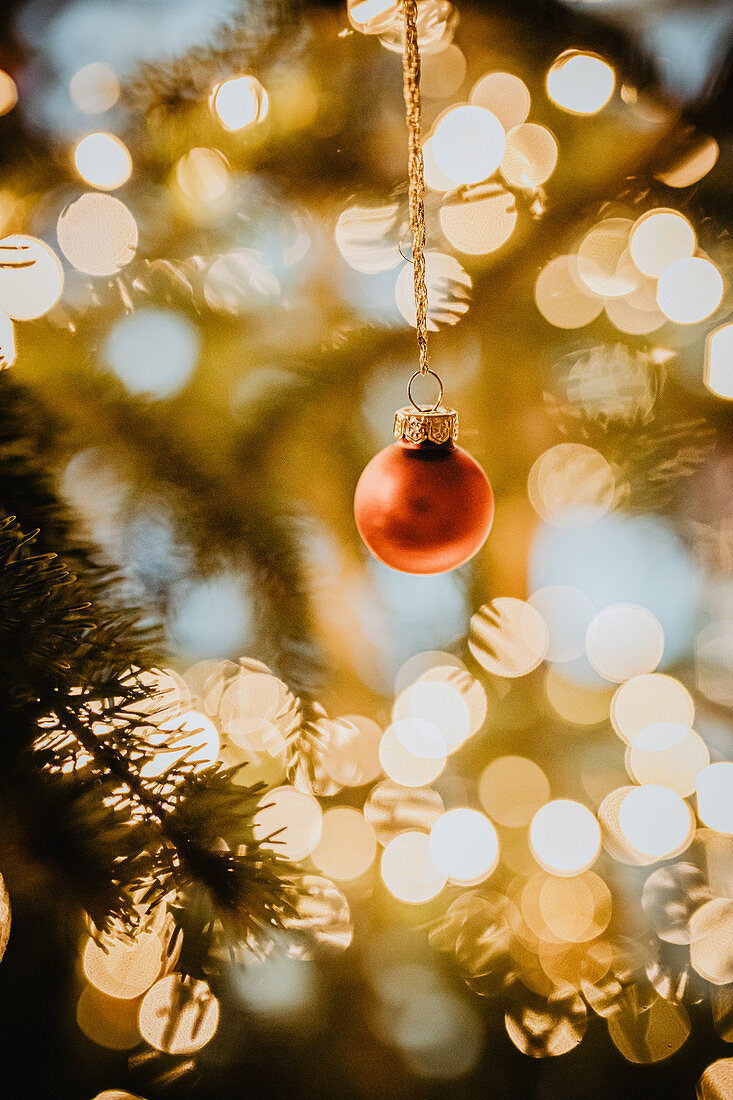 Rote Christbaumkugel hängt am beleuchteten Weihnachtsbaum