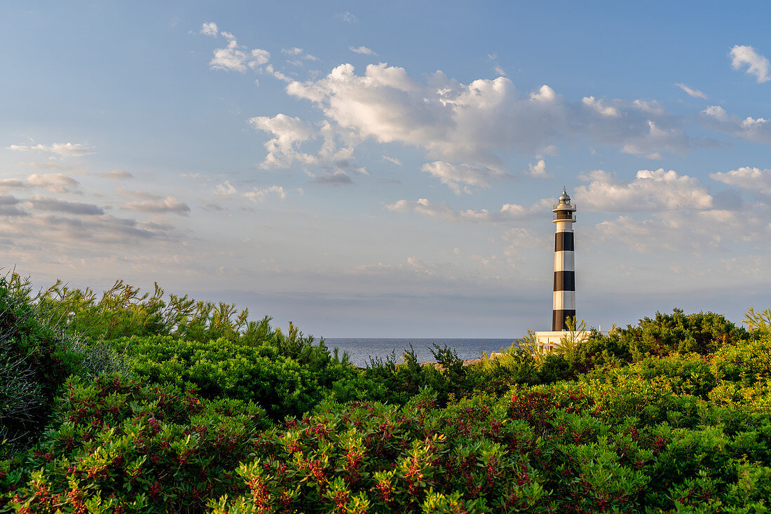 Der Leuchtturm vom Cap d´Artrutx, Ciutadella. Menorca, Balearen, Spanien, Europa