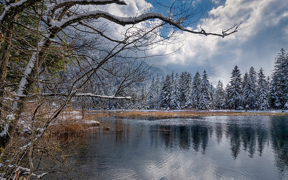 Winter morning at the Sieben Quellen, Eschenlohe, Bavaria, Germany, Europe