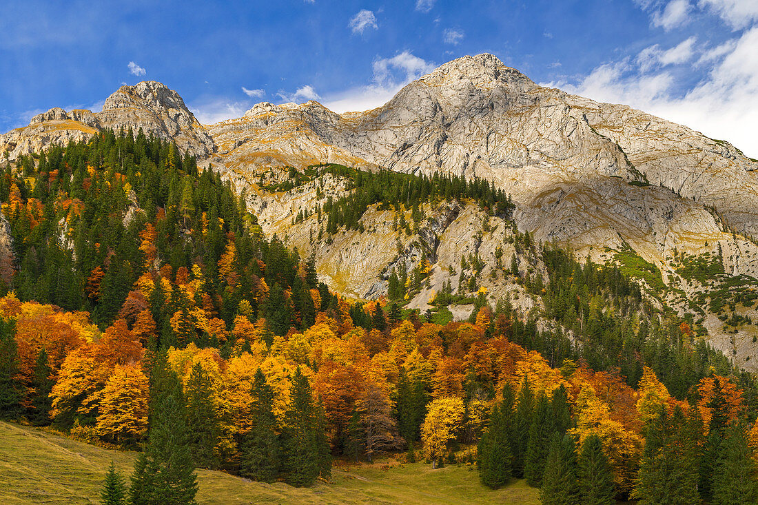Blick auf die Gamsjochgruppe im Karwendel, Großer Ahornboden, Karwendel, Tirol, Österreich