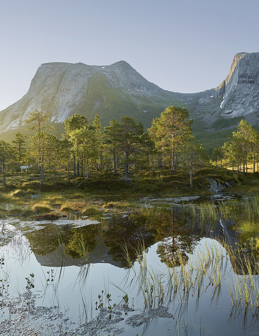 Kulhornet, Ballangen, Ofoten, Nordland, Norwegen