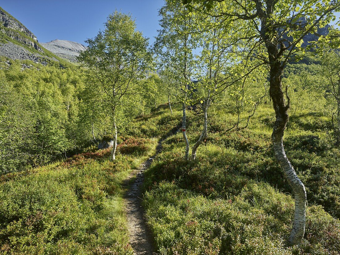 Hiking trail, Innerdalen, More og Romsdal, Norway