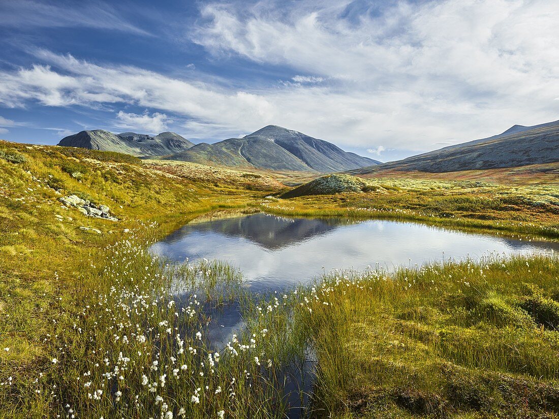 Nameless lake, Rondslottet, Storronden, Rondane National Park, Oppland, Norway