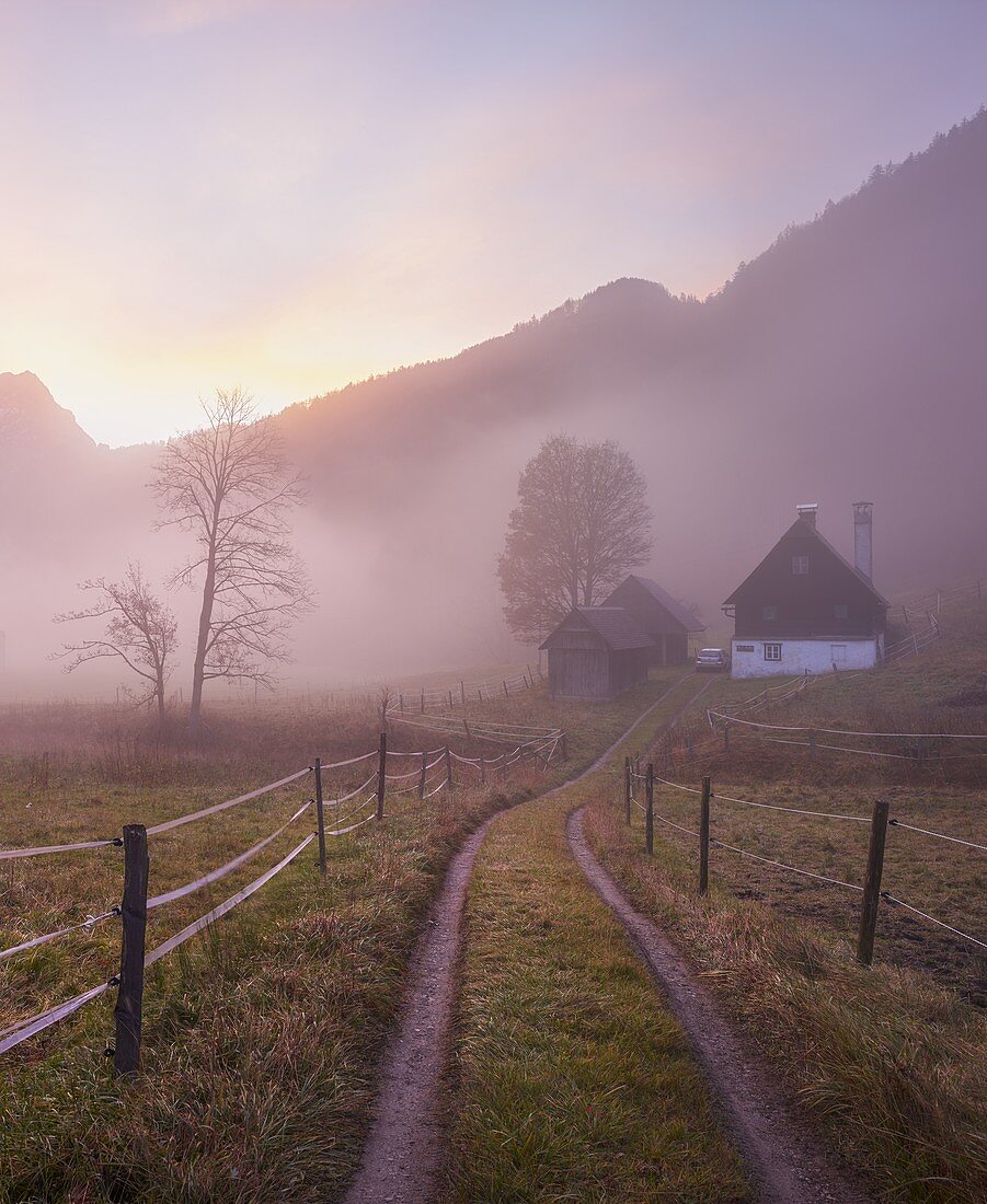 Sonnenaufgang, Nebel, Bauernhof, Buchauer Sattel, Ennstaler Alpen, Österreich