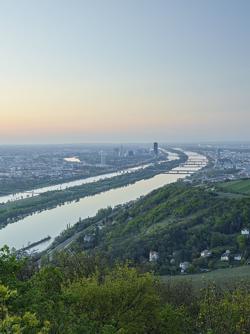View from Kahlenberg over Vienna, Donaucity, Danube Island, sunrise, Austria