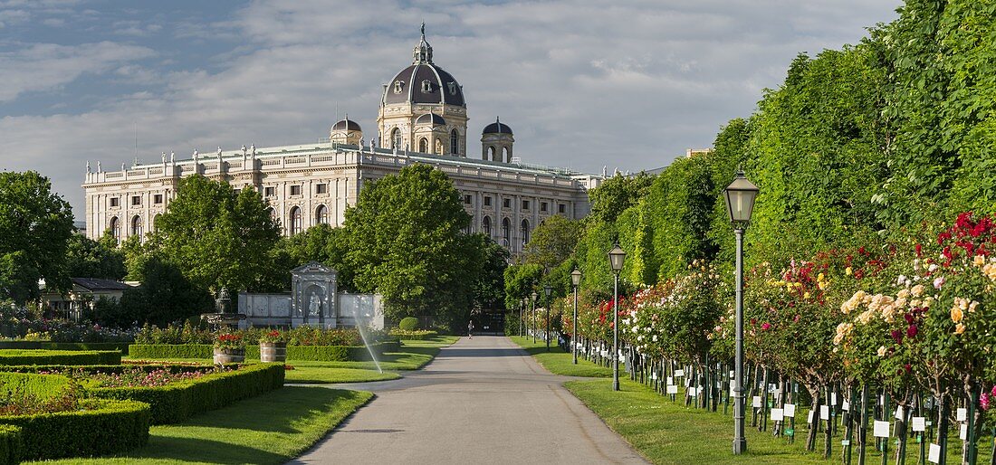 Rose garden, Natural History Museum, Volksgarten, 1st district Innere Stadt, Vienna, Austria