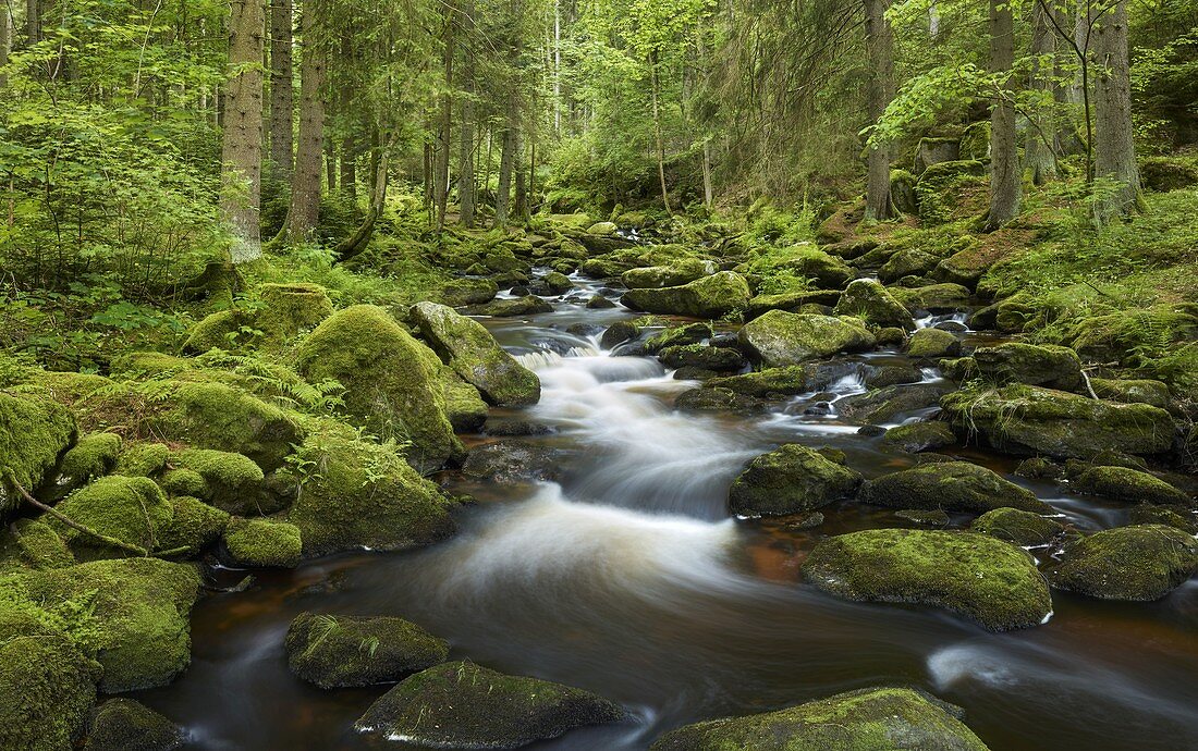 Höllfall, Waldviertel, Niederösterreich, Österreich