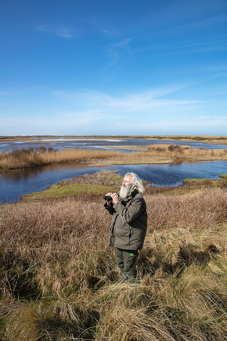 Ornithologist and employee of the National Forest Service Herman Vogel with binoculars, Kroon's Polders, Vlieland, West Frisian Islands, Friesland, Netherlands, Europe