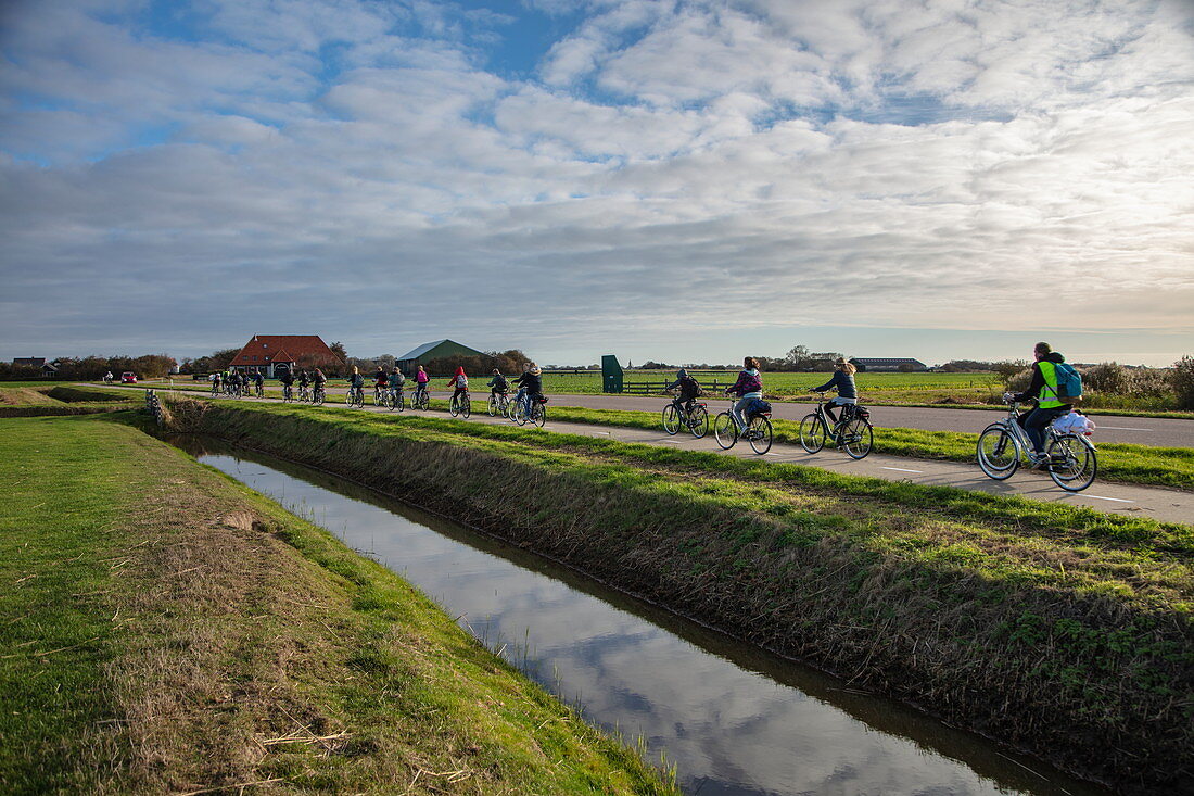 Menschen fahren Elektrofahrräder entlang Radweg neben Deich, nahe von Den Hoorn, Texel, Westfriesische Inseln, Friesland, Niederlande, Europa,
