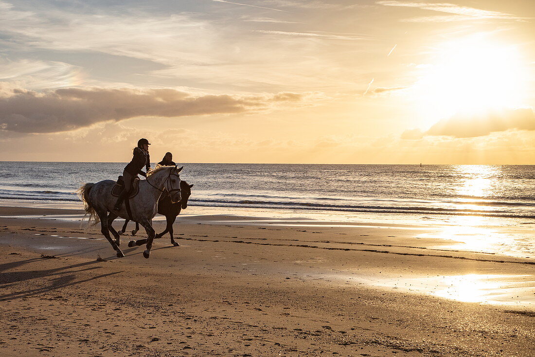 Zwei Menschen reiten auf galoppierenden Pferden am Strand der Westerduinen-Dünen entlang der Nordseeküste bei Sonnenuntergang, nahe Den Hoorn, Texel, Westfriesische Inseln, Friesland, Niederlande, Europa