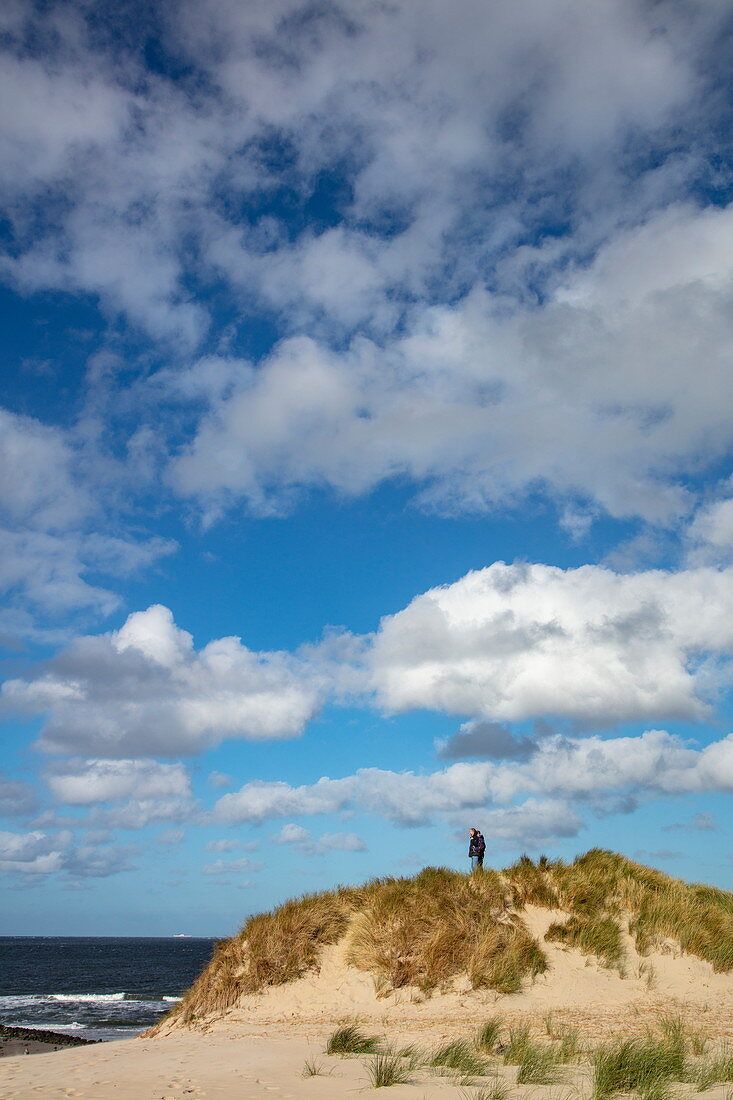 Menschen auf Sanddünen mit Blick auf Strand und Nordseeküste, nahe Hollum, Ameland, Westfriesische Inseln, Friesland, Niederlande, Europa