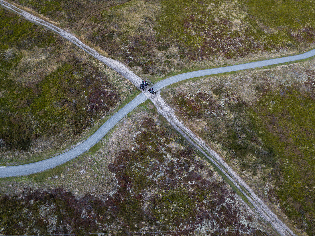 Luftaufnahme von drei Menschen auf Pferden auf einem eine Feldweg, der einen Radweg kreuzt, nahe Oosterend, Terschelling, Westfriesische Inseln, Friesland, Niederlande, Europa
