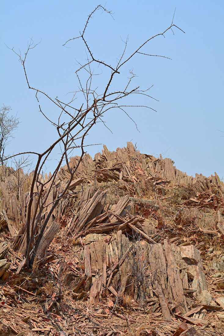 Angola; im südlichen Teil der Provinz Namibe; Hügel aus versteinertem Holz