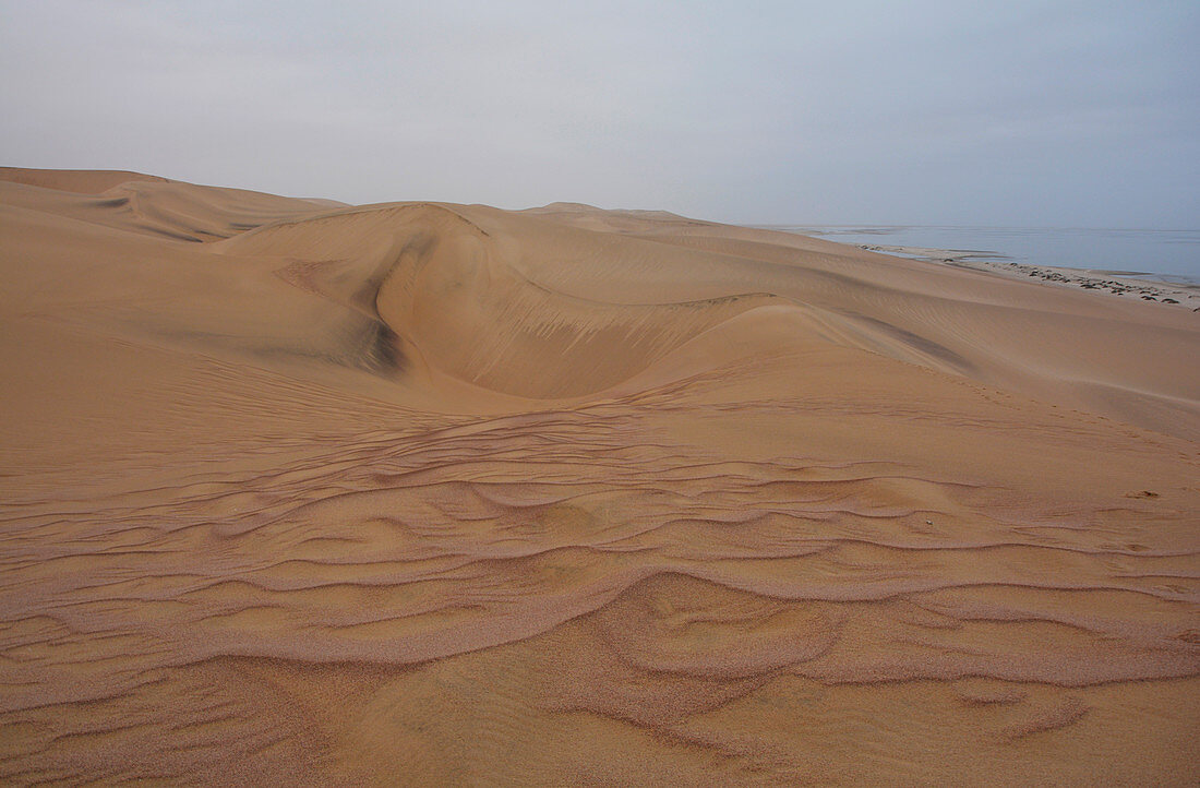 Angola; im südlichen Teil der Provinz Namibe; nördlicher Teil der Namib Wüste; Iona Nationalpark; Sanddünen an der Atlantikküste