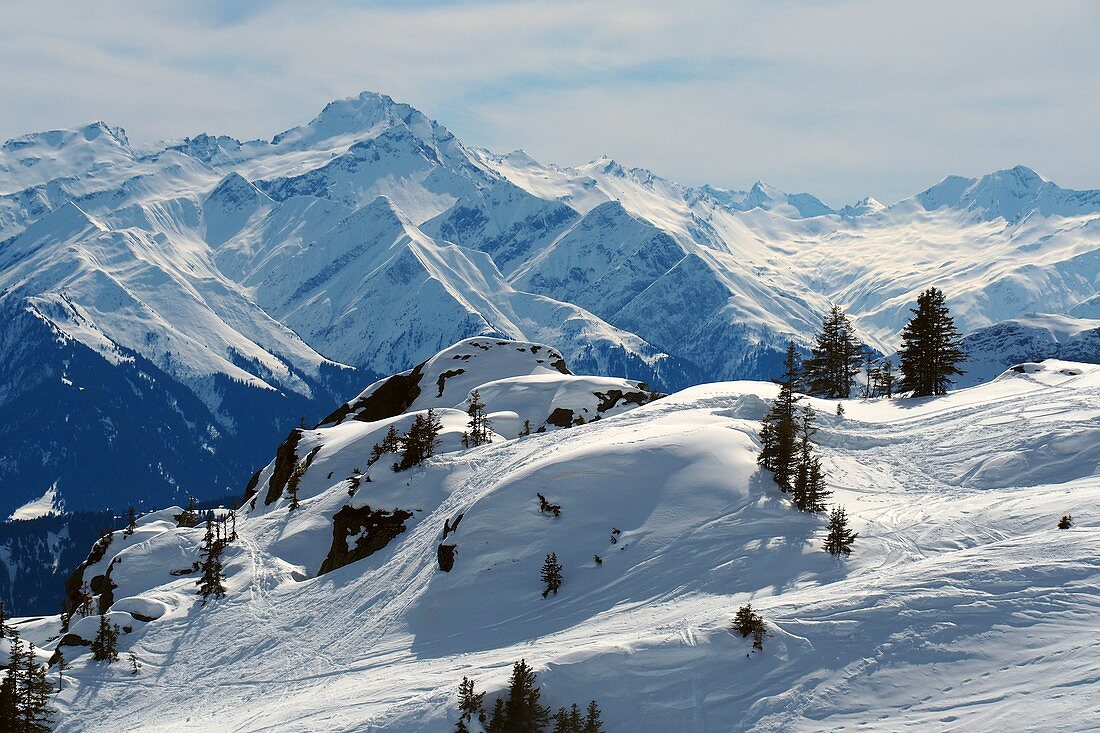 Blick vom Grap Sogn Gion im Skigebiet Laax, Graubünden, Schweiz