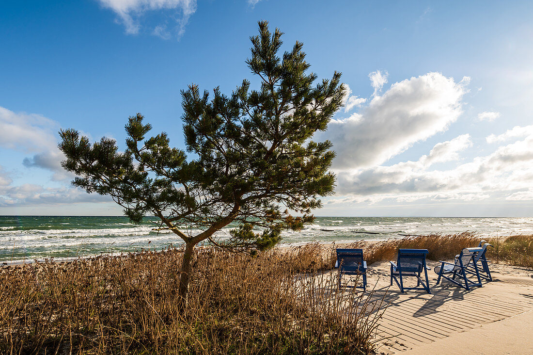 Beach chairs on the beach at Kellenhusen Baltic Sea, Ostholstein, Schleswig-Holstein, Germany