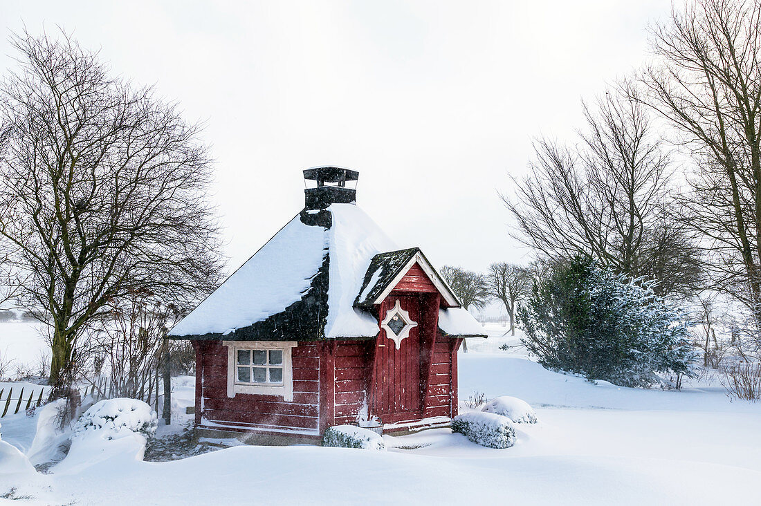 Finnish Saunakota in a snow storm, Georgshof, Ostholstein, Schleswig-Holstein, Germany