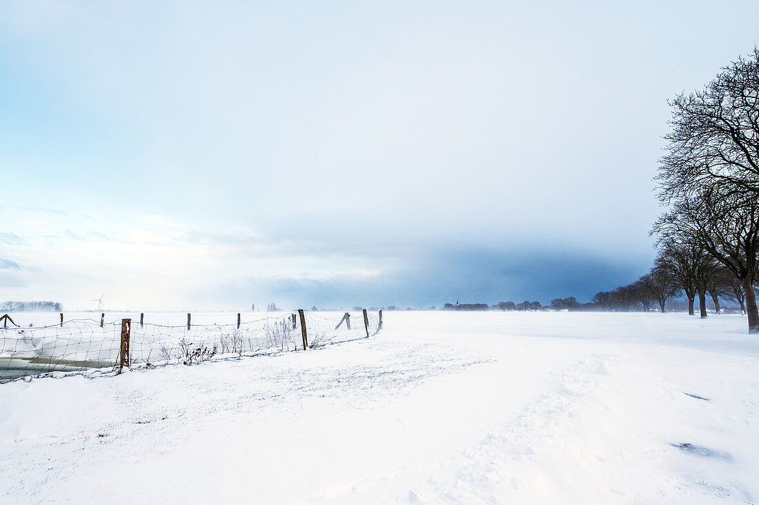 Winter impression at the blue hour, Georgshof, Ostholstein, Schleswig-Holstein, Germany