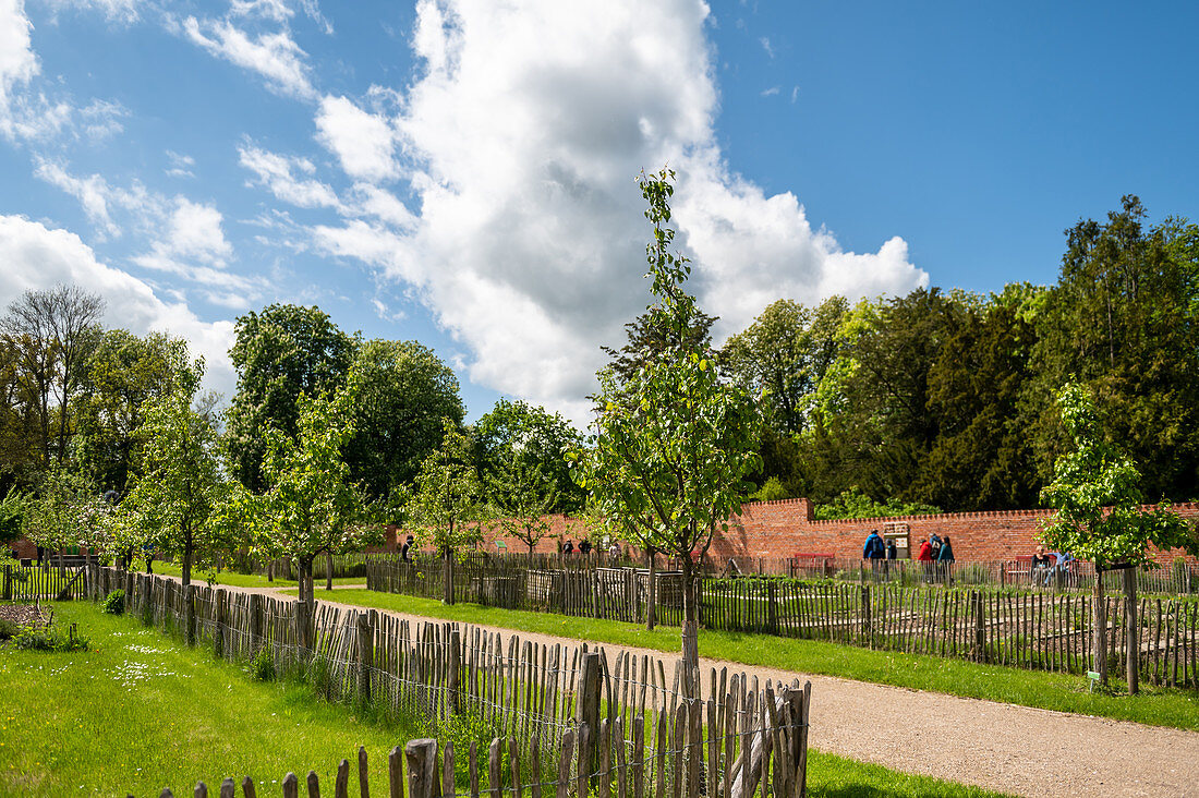 Kitchen garden, Eutin Castle Garden, Holstein Switzerland Nature Park, Ostholstein, Schleswig-Holstein, Germany