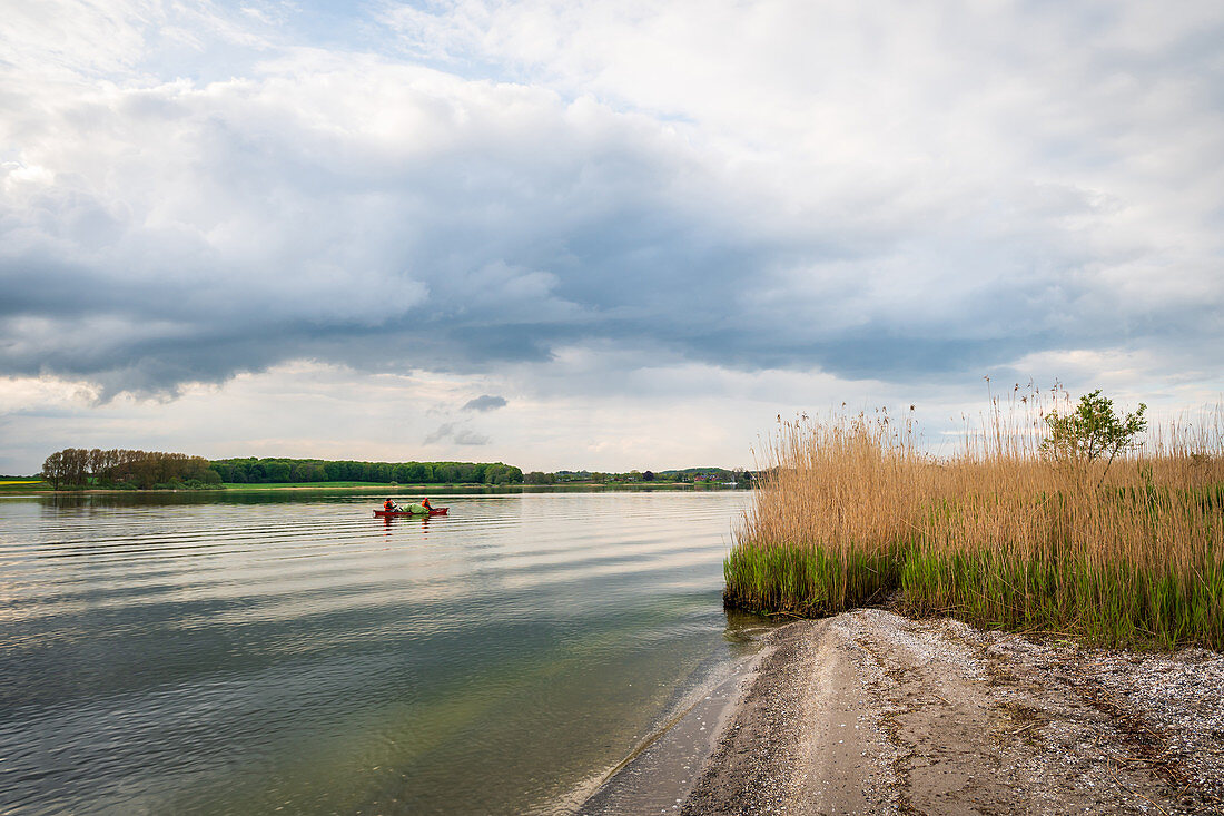 Paddler auf der Schlei bei Gut Bienebek, Schlei, Schwansen, Thumby, Schleswig-Holstein, Deutschland