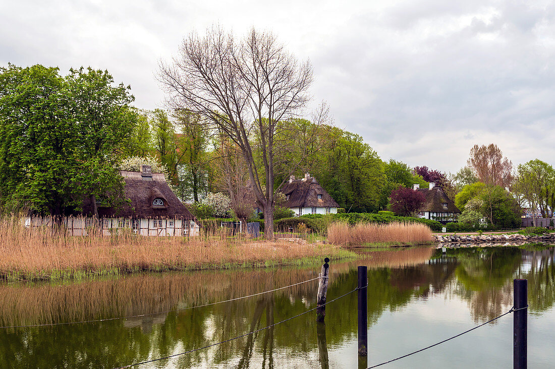 Thatched roof houses in Sieseby, Schlei, Schwansen, Thumby, Schleswig-Holstein, Germany