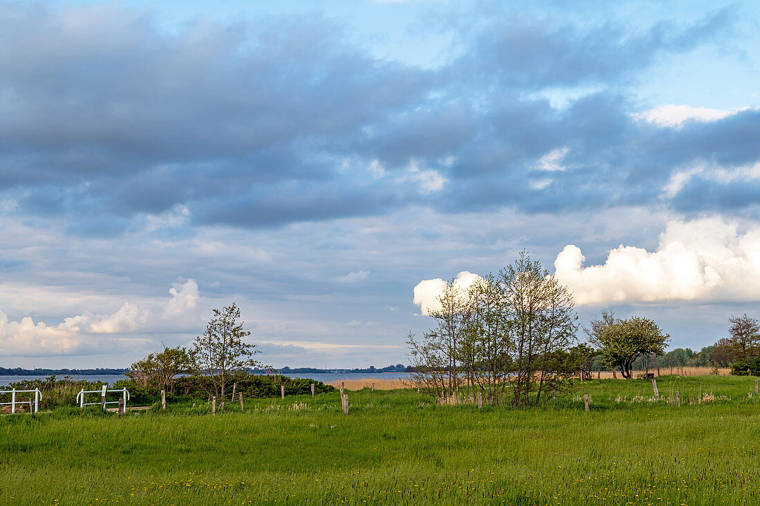 Abendstimmung in Sieseby an der Schlei, Schwansen, Thumby, Schleswig-Holstein, Deutschland