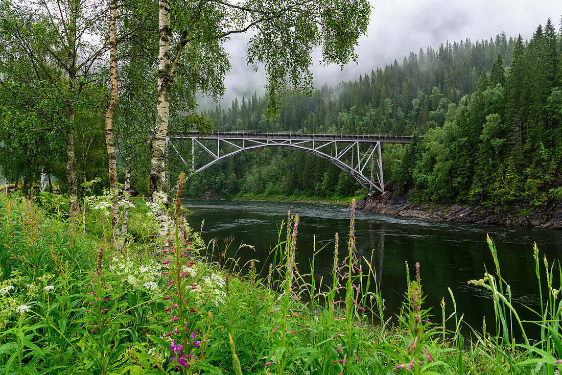 Flusslandschaft, Namdalen, Grong, Norwegen