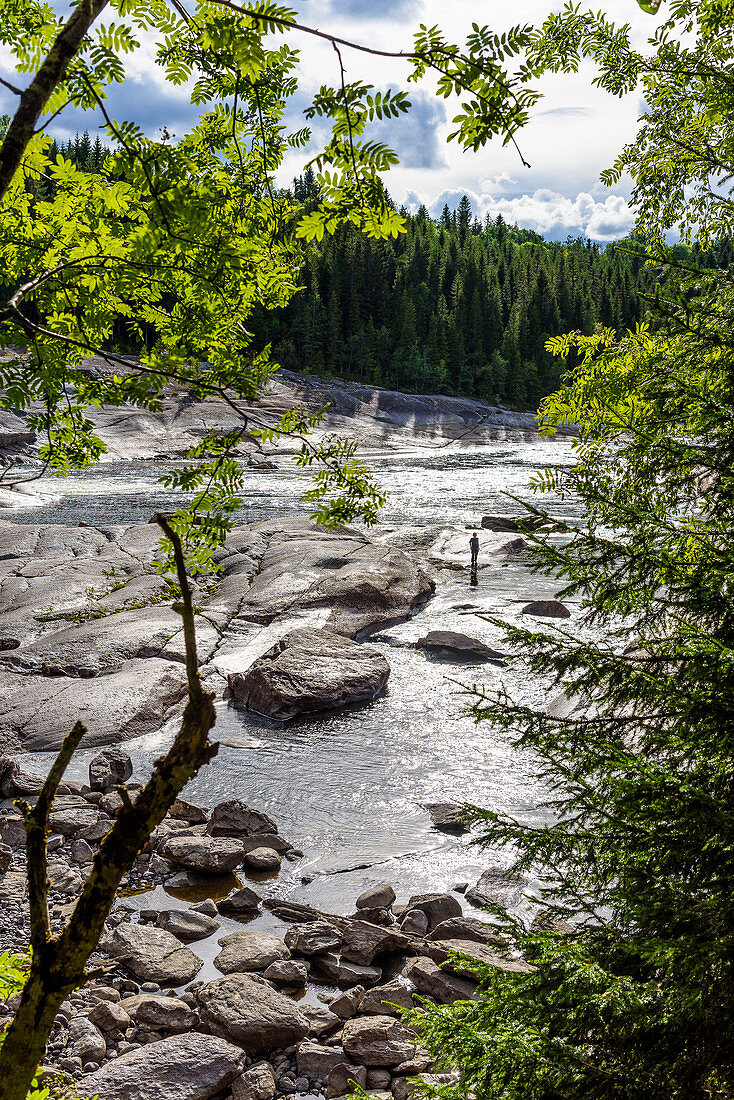 Salmon river Sandola, tributary of the Namsen, Namdalen, Norway