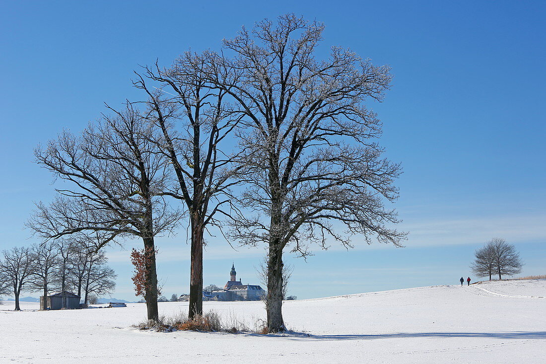 Wintertag in Kloster Andechs, 5-Seen-Land, Oberbayern, Bayern, Deutschland