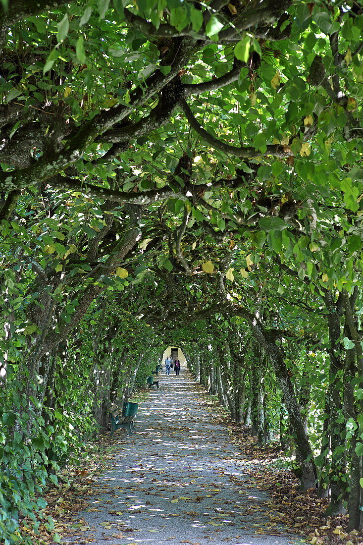 Laubengang, Schloß Dachau, Oberbayern, Bayern, Deutschland