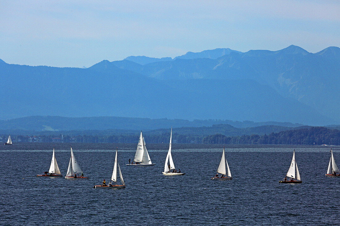 Sailboats on the Starnberger See, 5-Seen-Land, Upper Bavaria, Bavaria, Germany