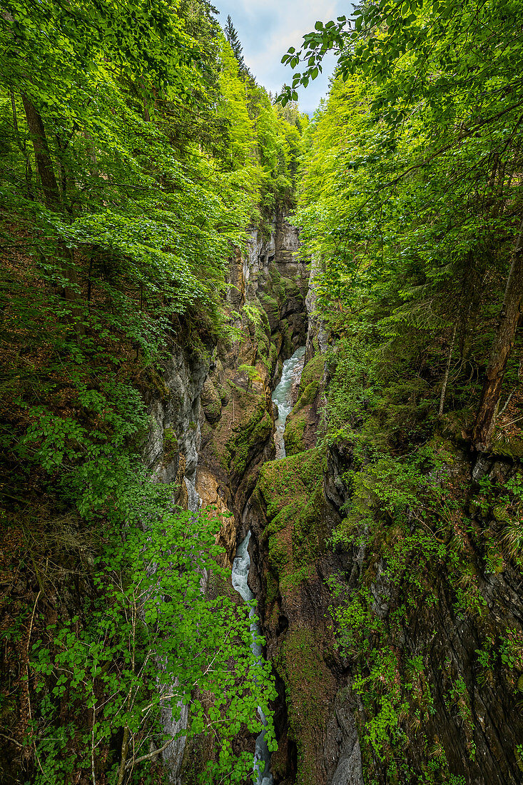 Blick von Eiserner Brücke auf die Partnachklamm, Garmisch-Partenkirchen, Oberbayern, Deutschland