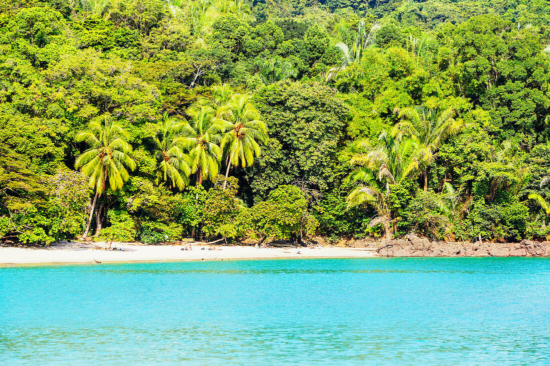 Tropical beach, Manuel Antonio National Park, Quepos, Costa Rica