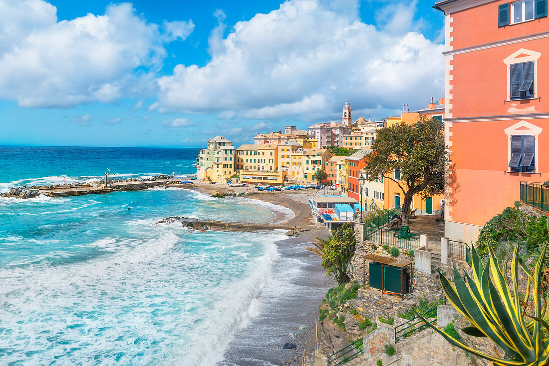 View of the fishing village of Bogliasco, Bogliasco, Liguria, Italy